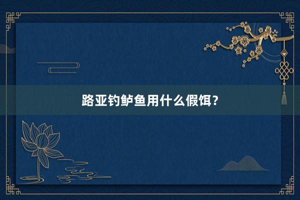 路亚钓鲈鱼用什么假饵？